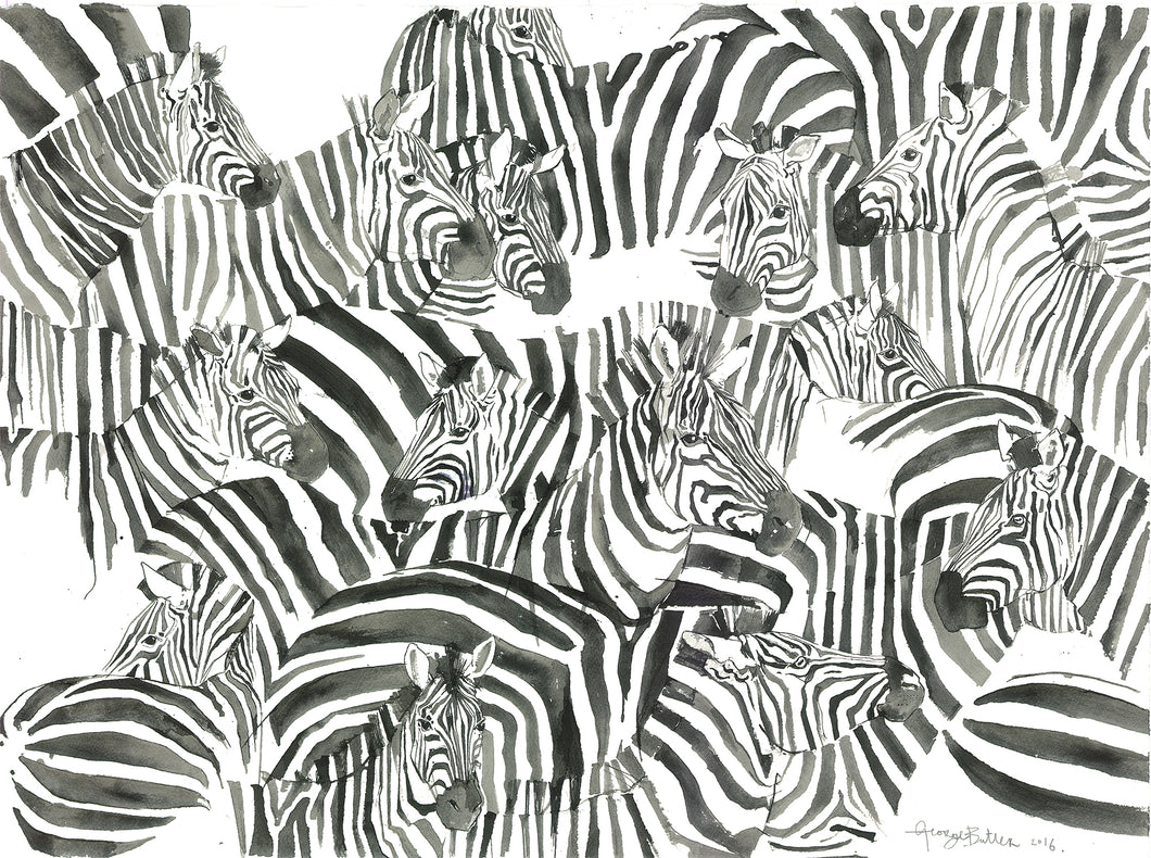A Zeal of Zebras from the Masai Mara
